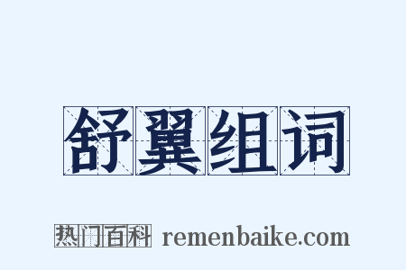 舒翼组词是什么意思的图片